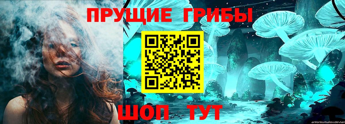 Псилоцибиновые грибы прущие грибы Куйбышев