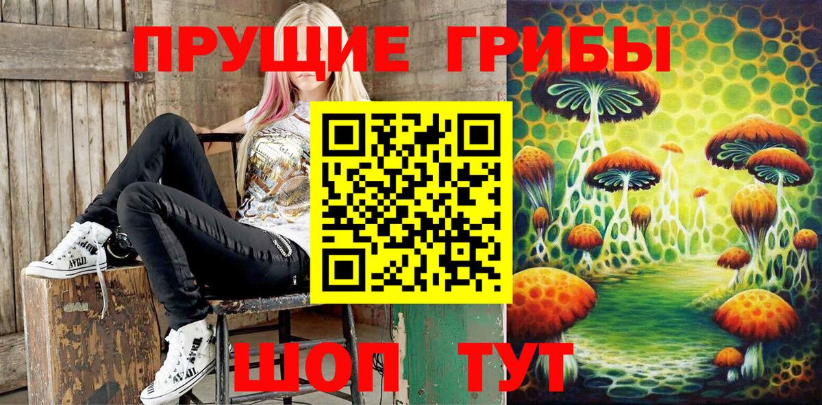 Куйбышев  Псилоцибиновые грибы прущие грибы  Вход с VPN 